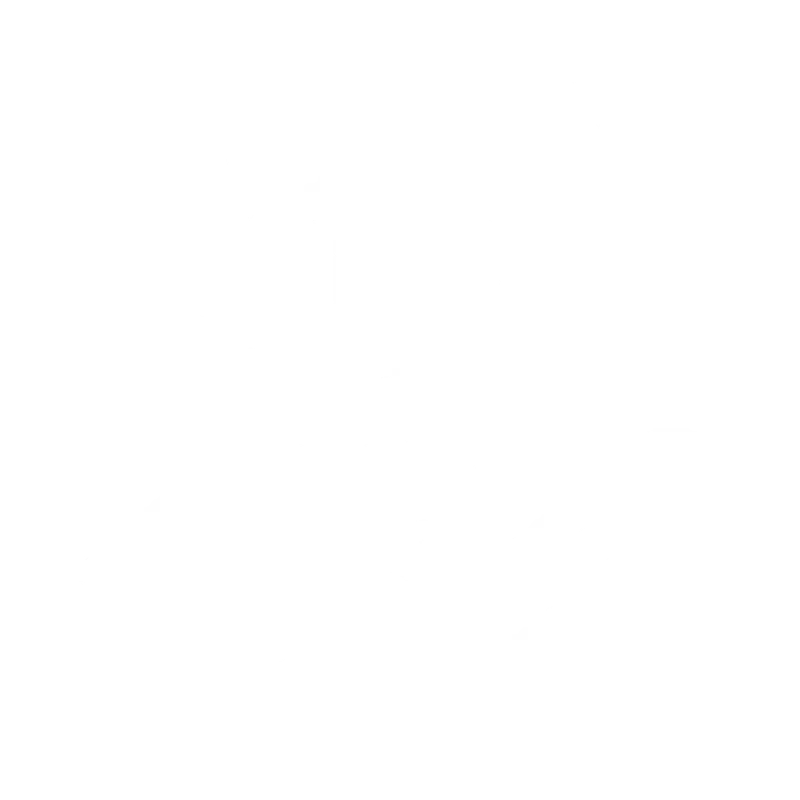 Supplemental Life Insurance Icon