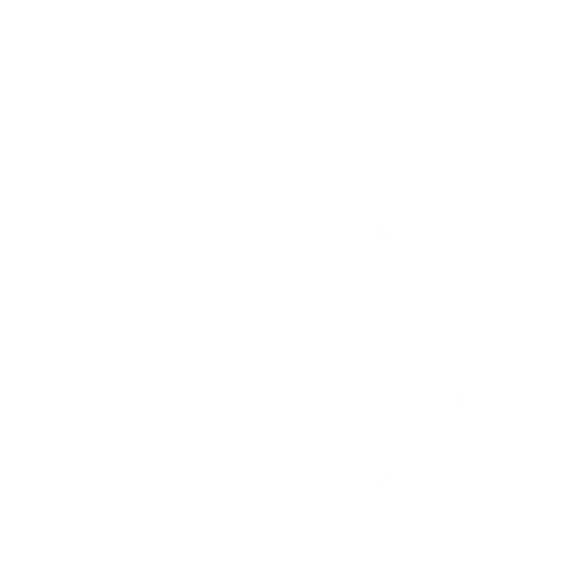 Life Insurance Icon