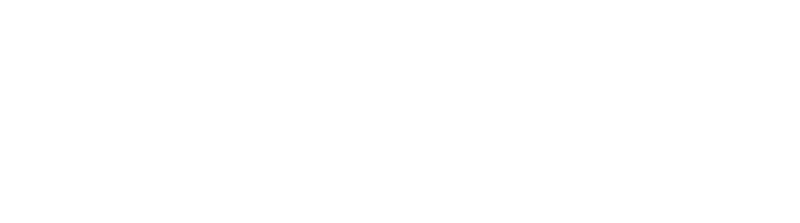  Digital Future Initiative Logo