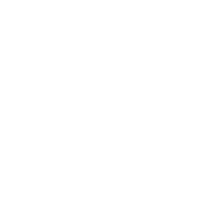 Vision icon