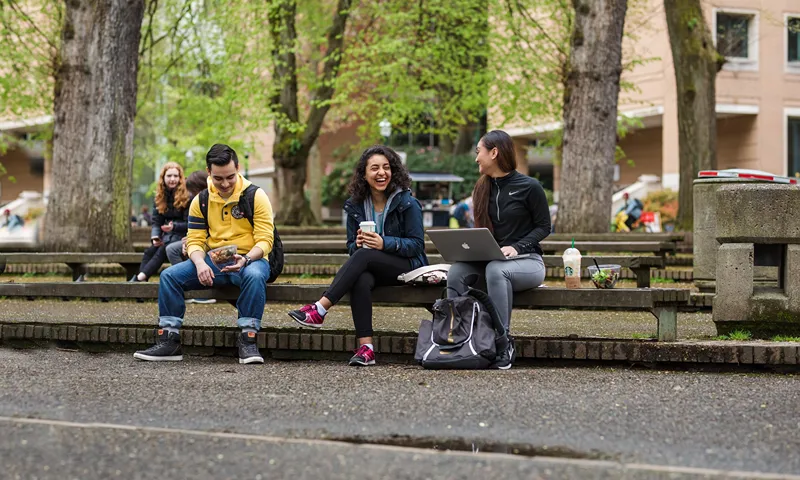 A group of students